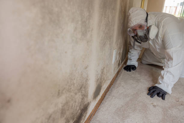 Best Residential Mold Inspection & Testing  in Farmerville, LA